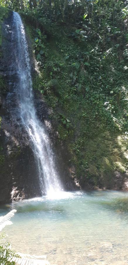 Le Pélikan Le Gosier  Esterno foto